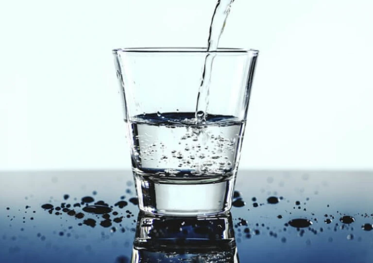 Grape Vine Canopy Management