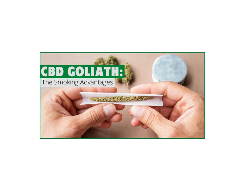 CBD Goliath: The Smoking Advantages
