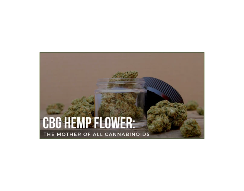 CBG Hemp Flower: The Mother Of All Cannabinoids
