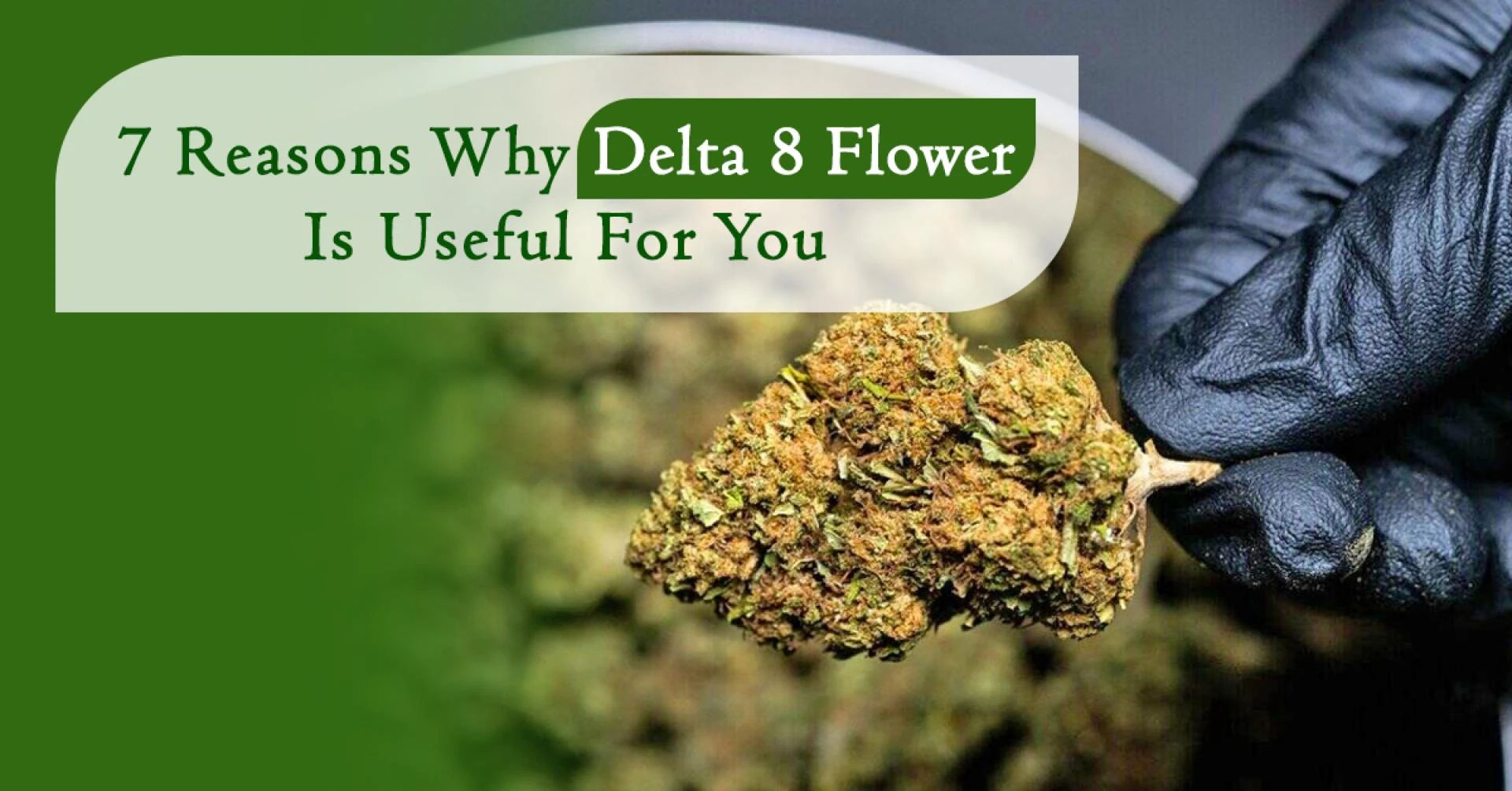 7 Reasons Why Delta-8 Hemp Flower Is Useful For You