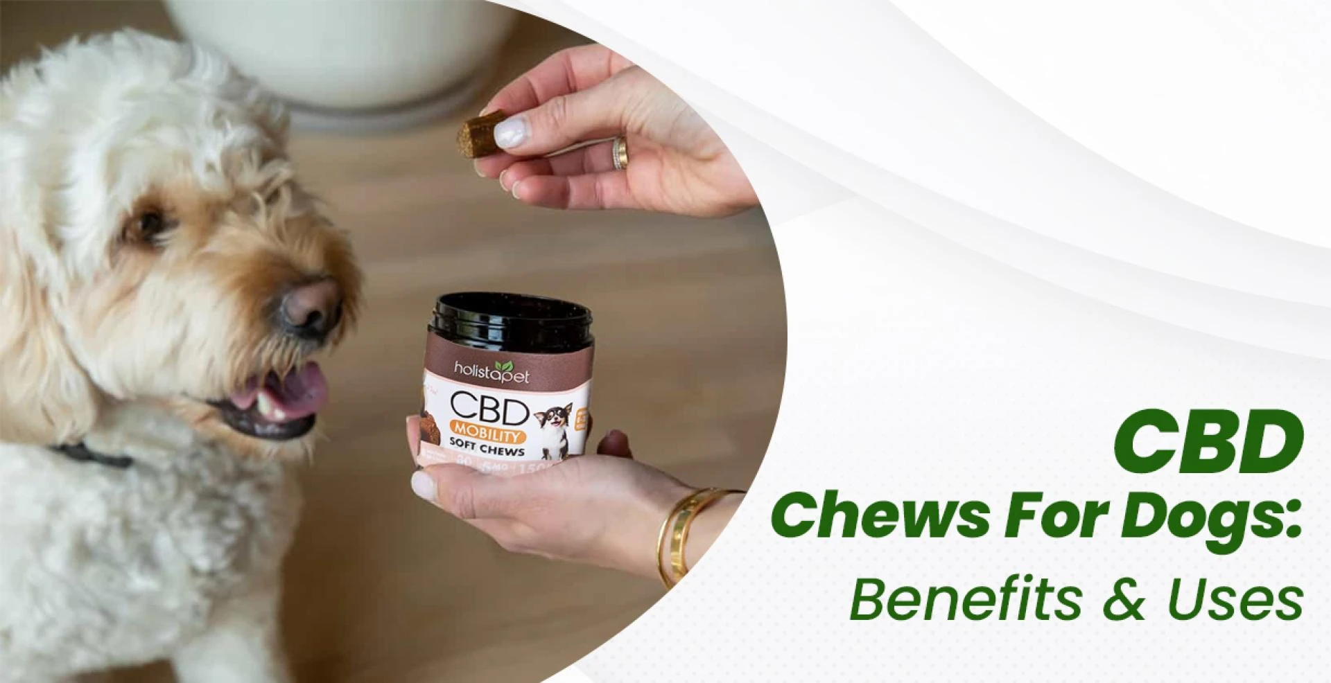CBD Chews For Dogs: Benefits And Uses