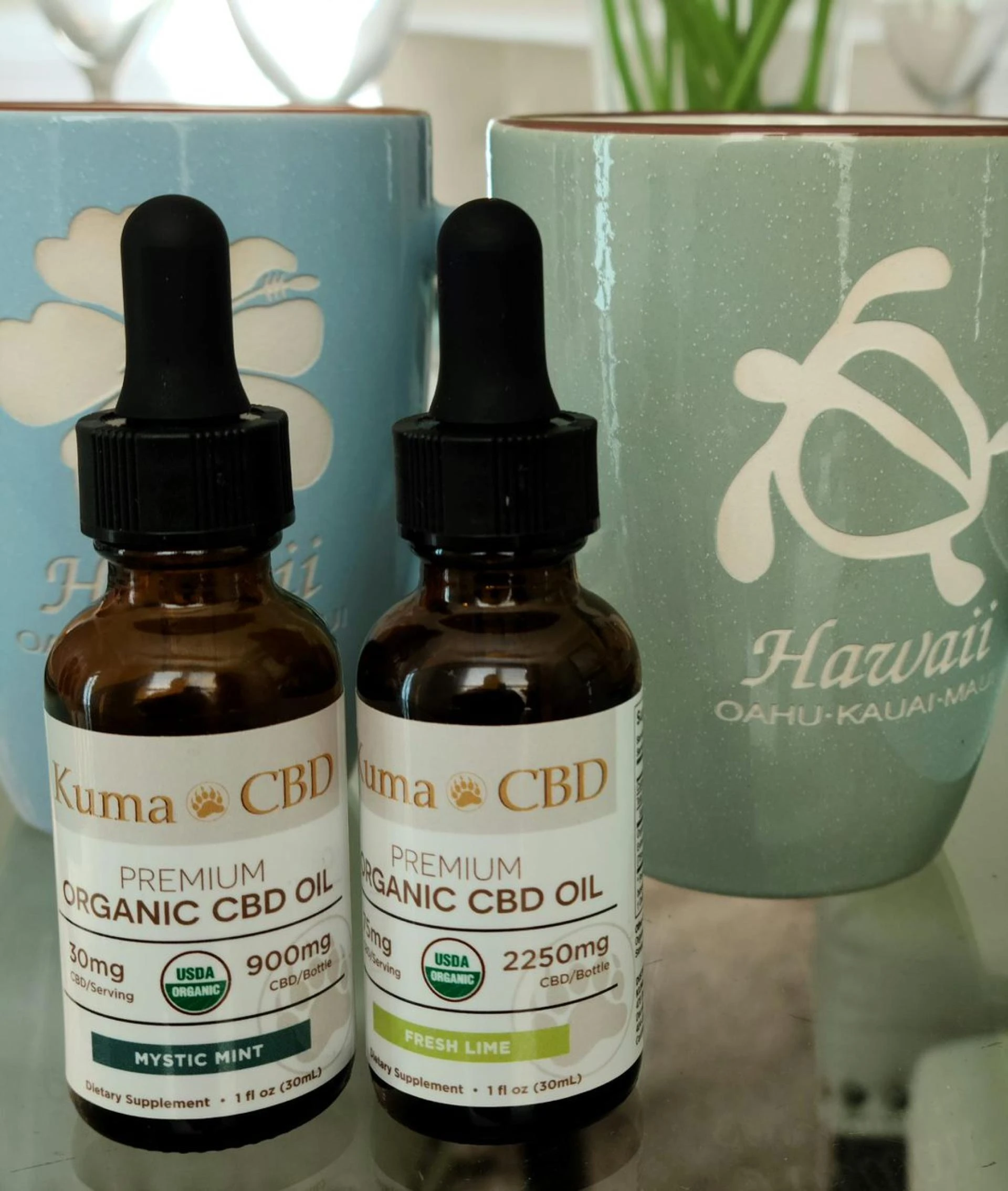 Why USDA Organic CBD Oil is the Best Choice for Your Health