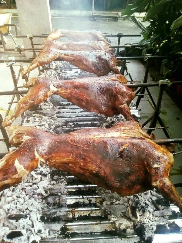 Kambing Aqiqah Shah Alam