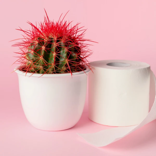 Symptoms of Piles: Find the Causes, Diagnosis, and Treatment