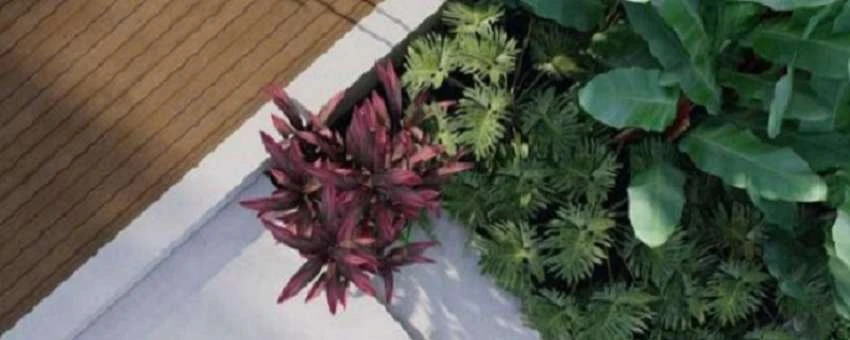 What is the reason for the rapid growth of landscape architecture?