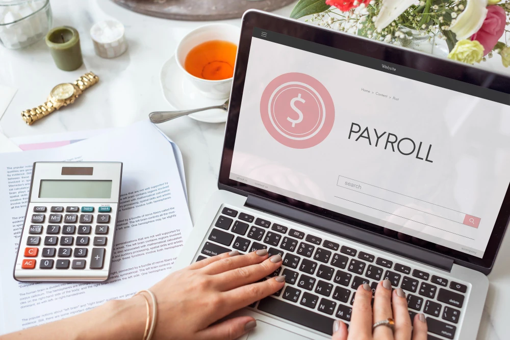 Why Self-Employed People Need Payroll Companies