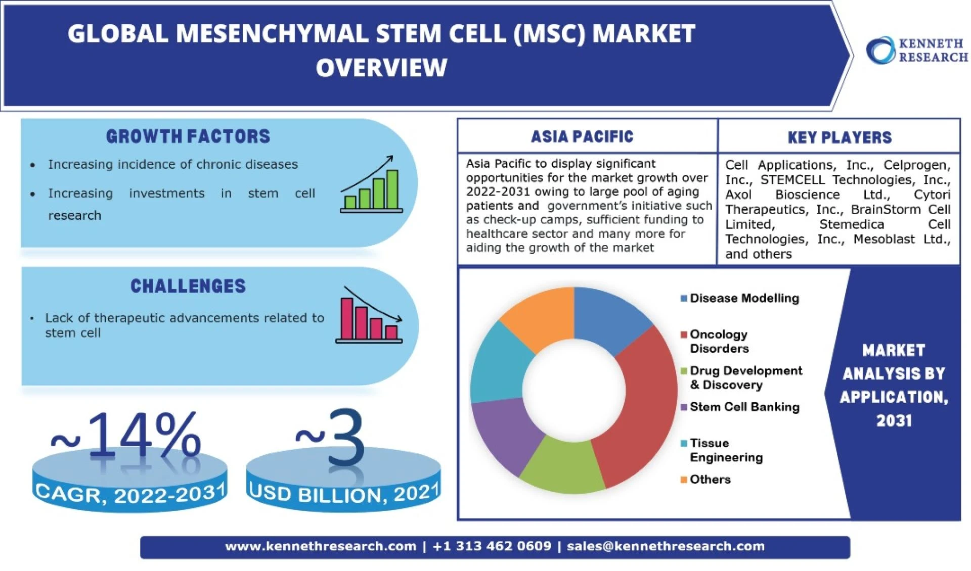 Global Mesenchymal Stem Cell (MSC) Market Size with Growth Opportunities, Top Countries Data, Future Trends and Share with Revenue Forecast 2022 to 2031