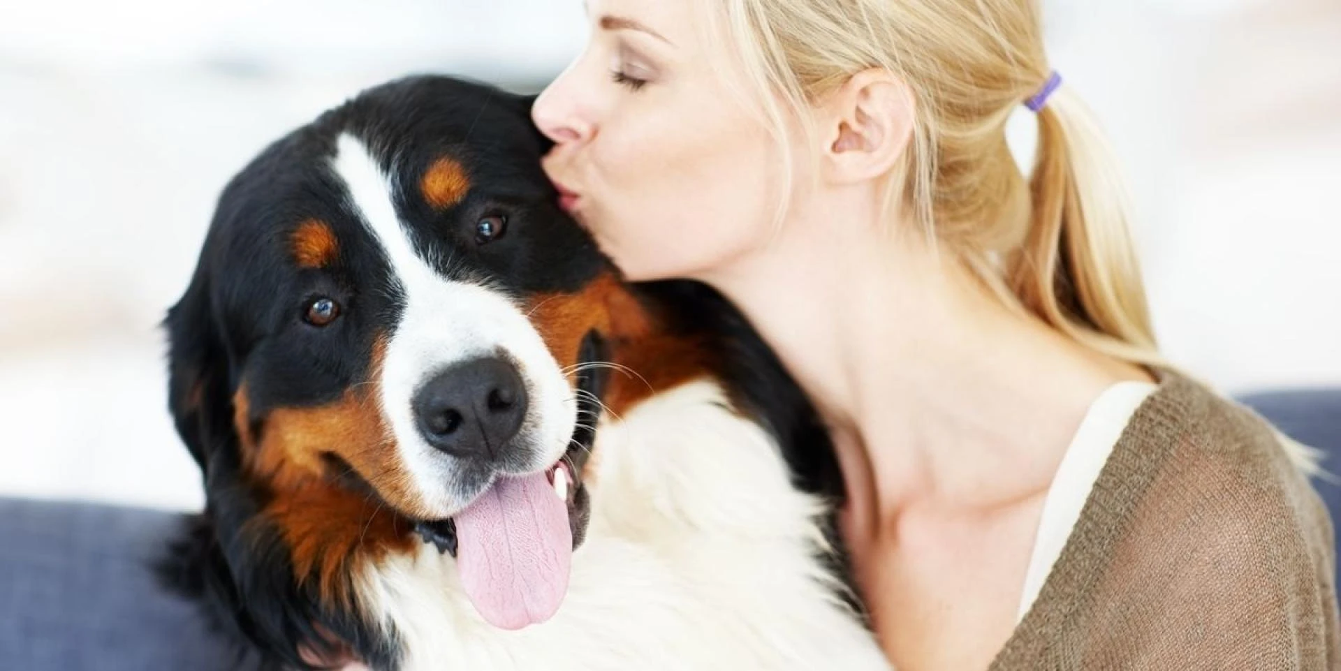 The Best Fluffy Dog Toys to Keep Your Pup Entertained for Hours