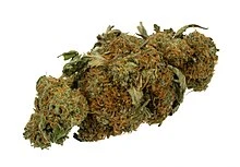 Synthetic Cannabinoids Market 2022 Size, Growth &amp; Forecast Report to 2028