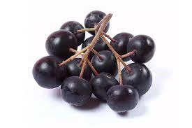 Aronia Berries Market 2022 Growth, Share &amp; Forecast Report to 2028