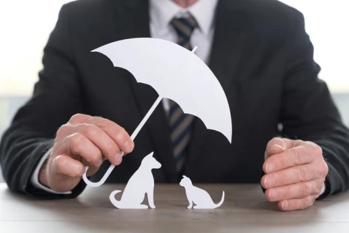 Pet Insurance Market 2022 Size, Share &amp; Forecast Report to 2028