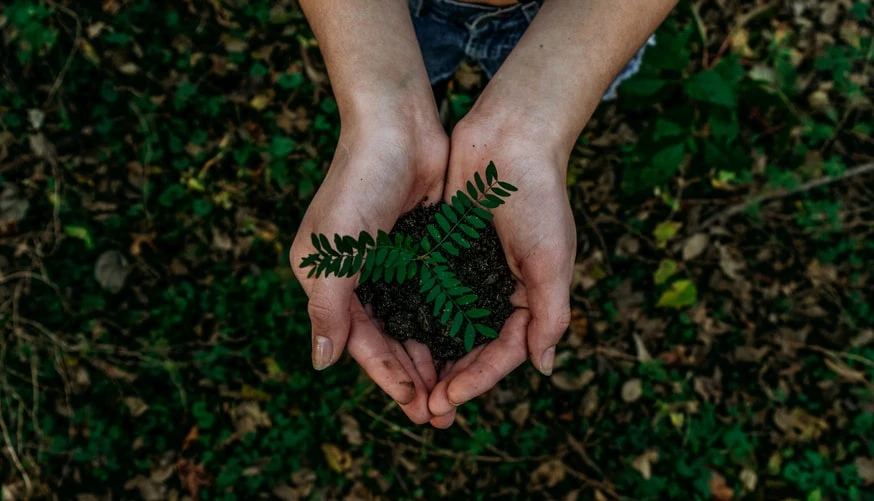 Eco-friendly ideas