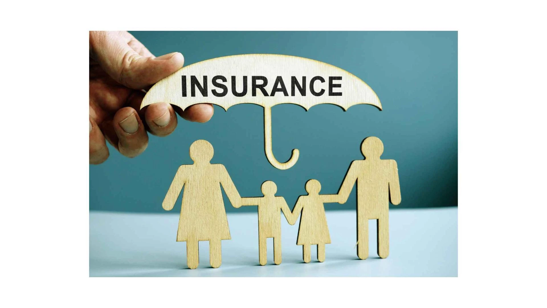 How to Choose the Right Life Insurance Provider in India