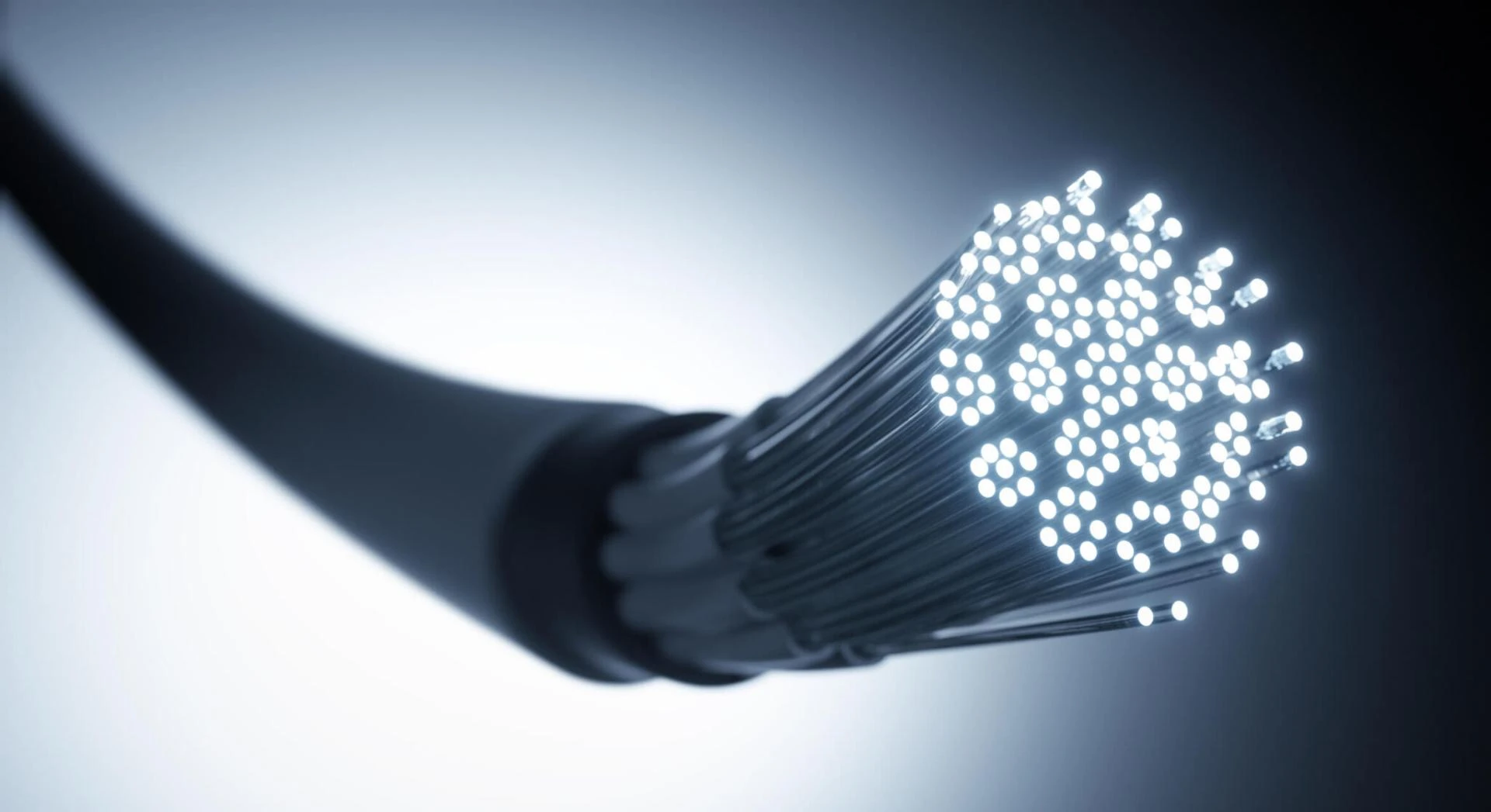 The Dark Fiber Market Estimated to Witness High Growth due to Growing Demand for Secure Data Transmission