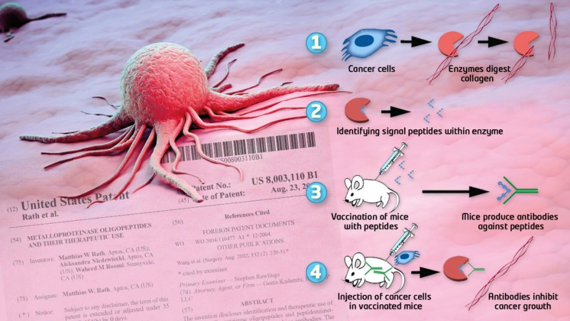 Peptide Cancer Vaccines: A Promising Immunotherapy Approach for Treating Various Cancers
