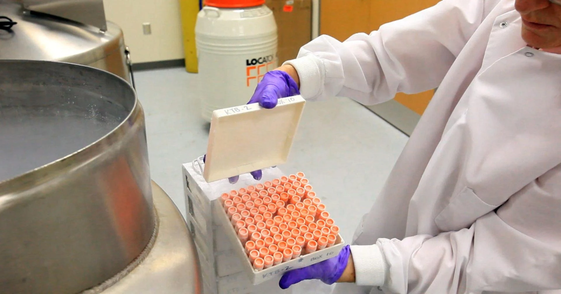 Tissue Banking: An Overview of Tissue Donation and Preservation Techniques