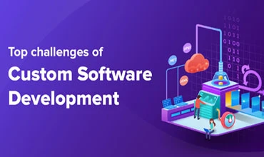 Advantages of custom software development
