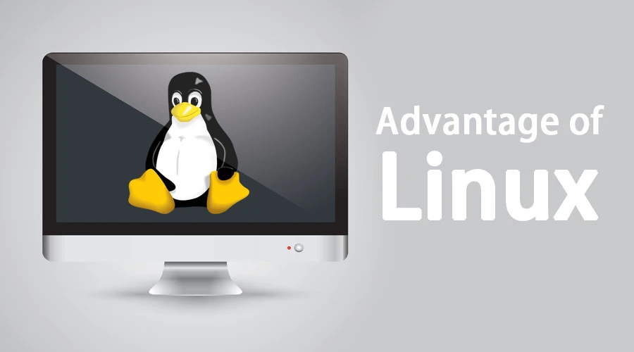 The Design of Linux Hosting