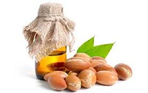 Argan oil: A best solution for all problems