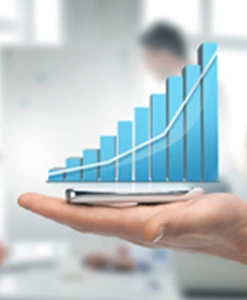 The Dynamics of Sales Leadership Development for Organizational Growth