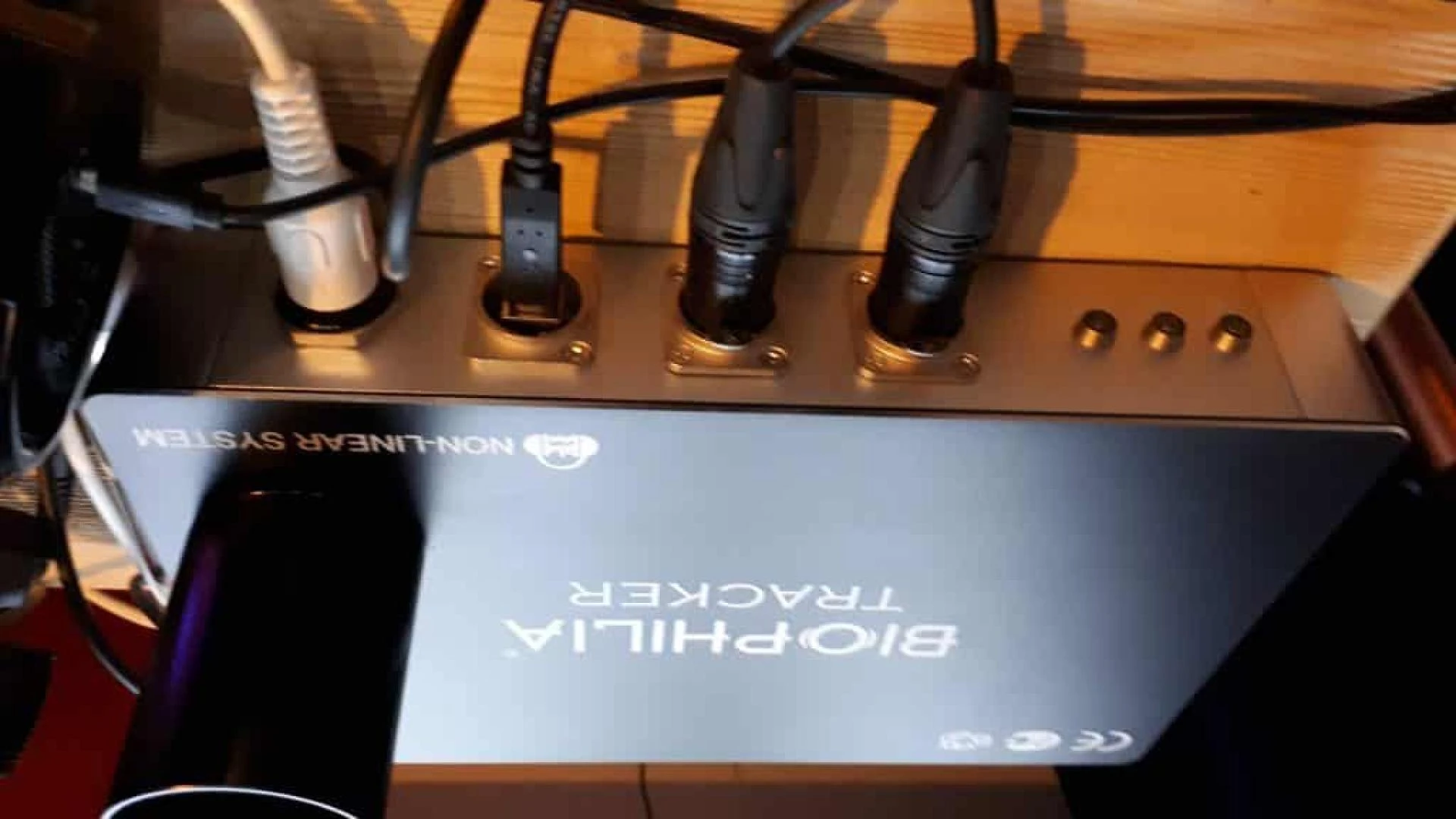 Bioresonance and Tumor Therapy