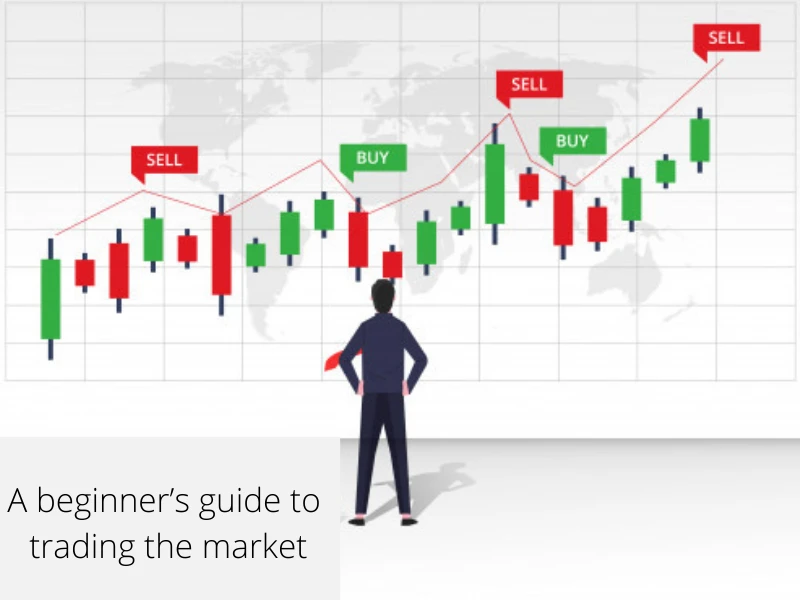 Detailed overview of forex broker: 101investing