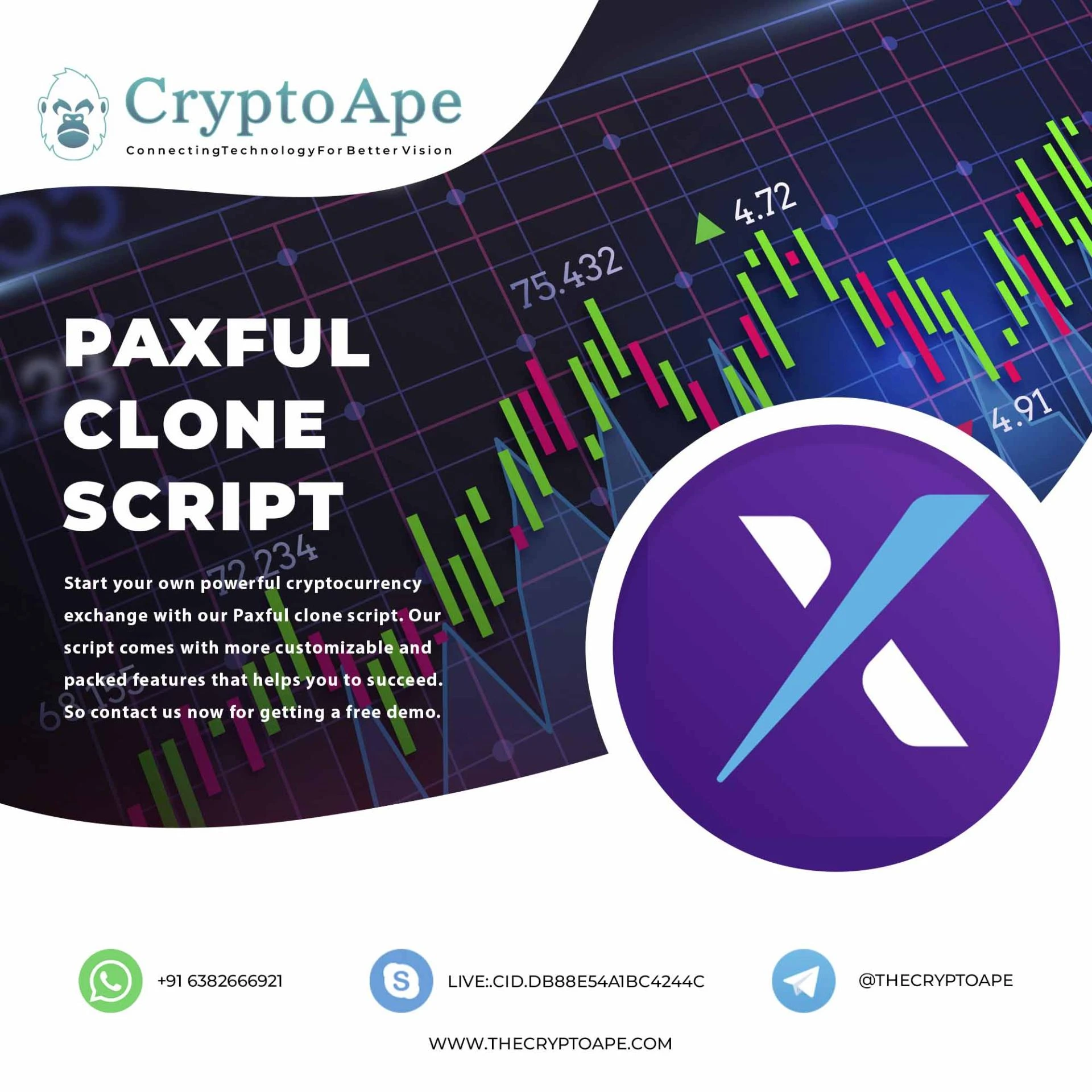 How can one customize a Paxful clone script to meet their specific needs