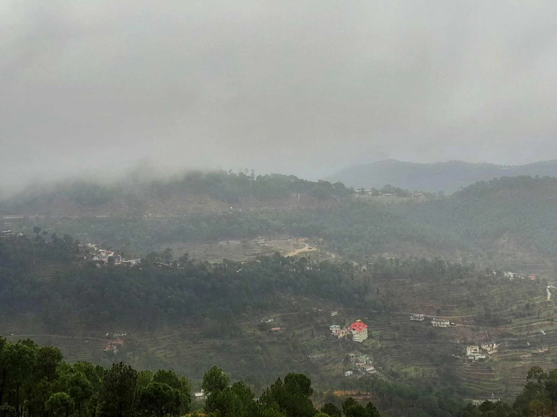 Discover Charming Home Stays near Kasauli &amp; Solan: Your Ideal Hotel Options!