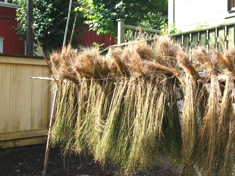 Flax Linen Yarns Market Trends, Share &amp; Forecast Report to 2030