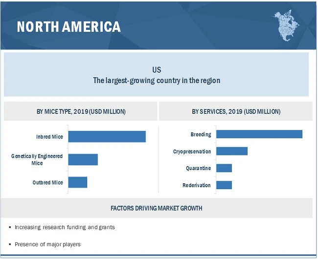 Mice Model Market worth $1.9 billion by 2025