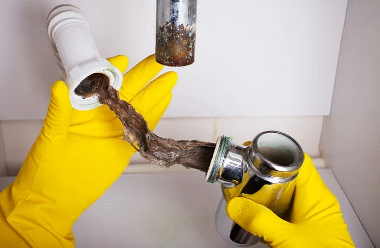 What Do Plumbers Do for Clogged Drains?
