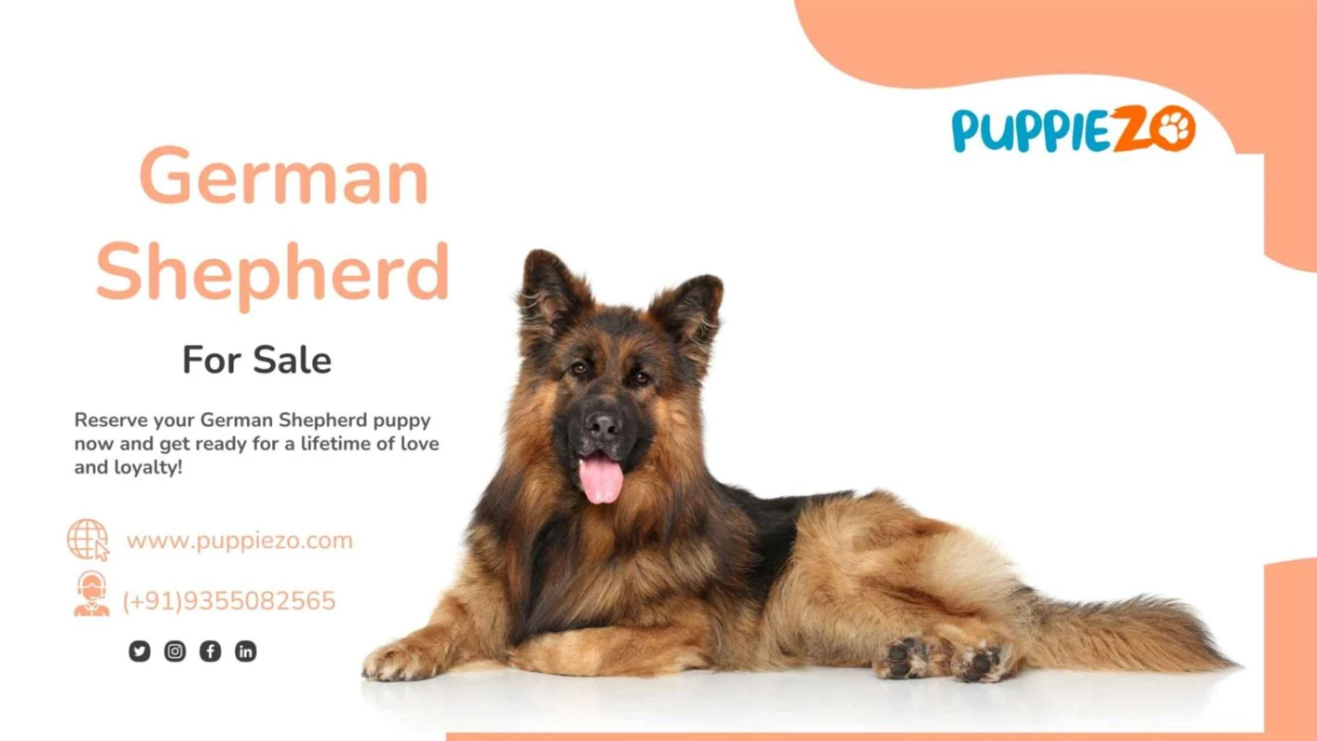 German Shepherd Price in India: A Comprehensive Guide