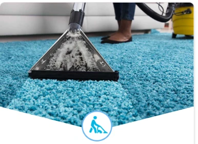 Best Carpet Cleaning Company Oakville