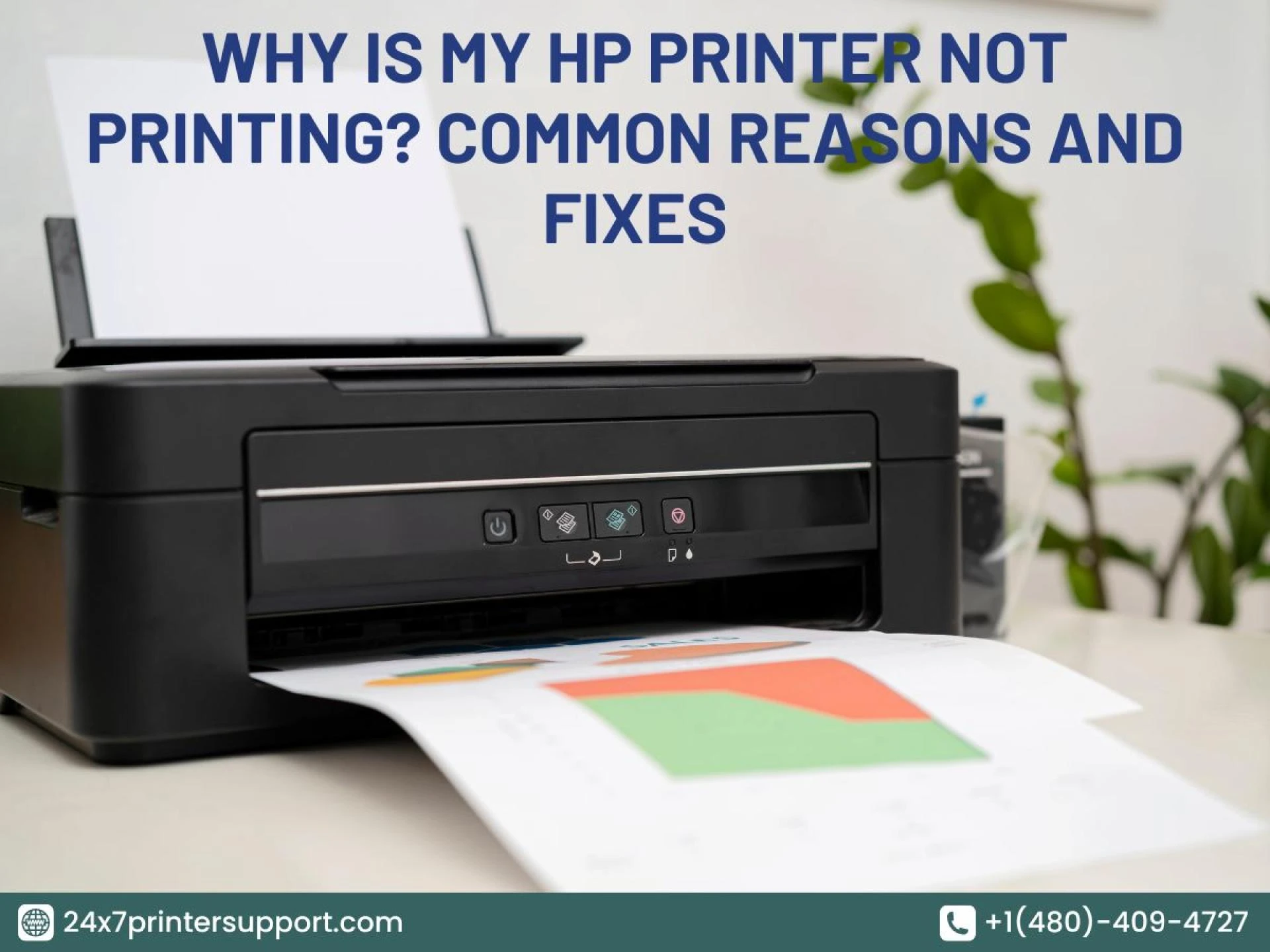 Why is My HP Printer Not Printing? Common Reasons and Fixes