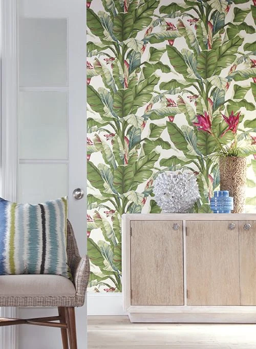 Mistakes One Should Avoid While Using Banana Leaf Wallpaper