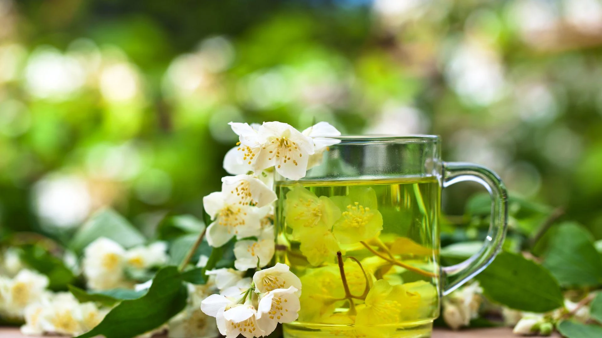 Jasmine Green Tea leaf And Guardian Spirit Tea