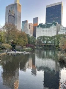 Navigating Nashville’s Legal Landscape: The Role of Corporate Law Firms in TN