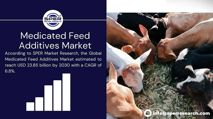 Global Medicated Feed Additives Market Growth Analysis, Size 2022, Industry Trends, Future Outlook, Forecast by 2030: SPER Market Research