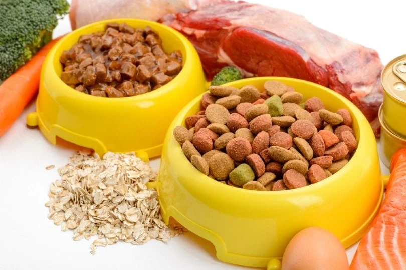 Pet Food Market Growth During Forecast Period 2021-2030