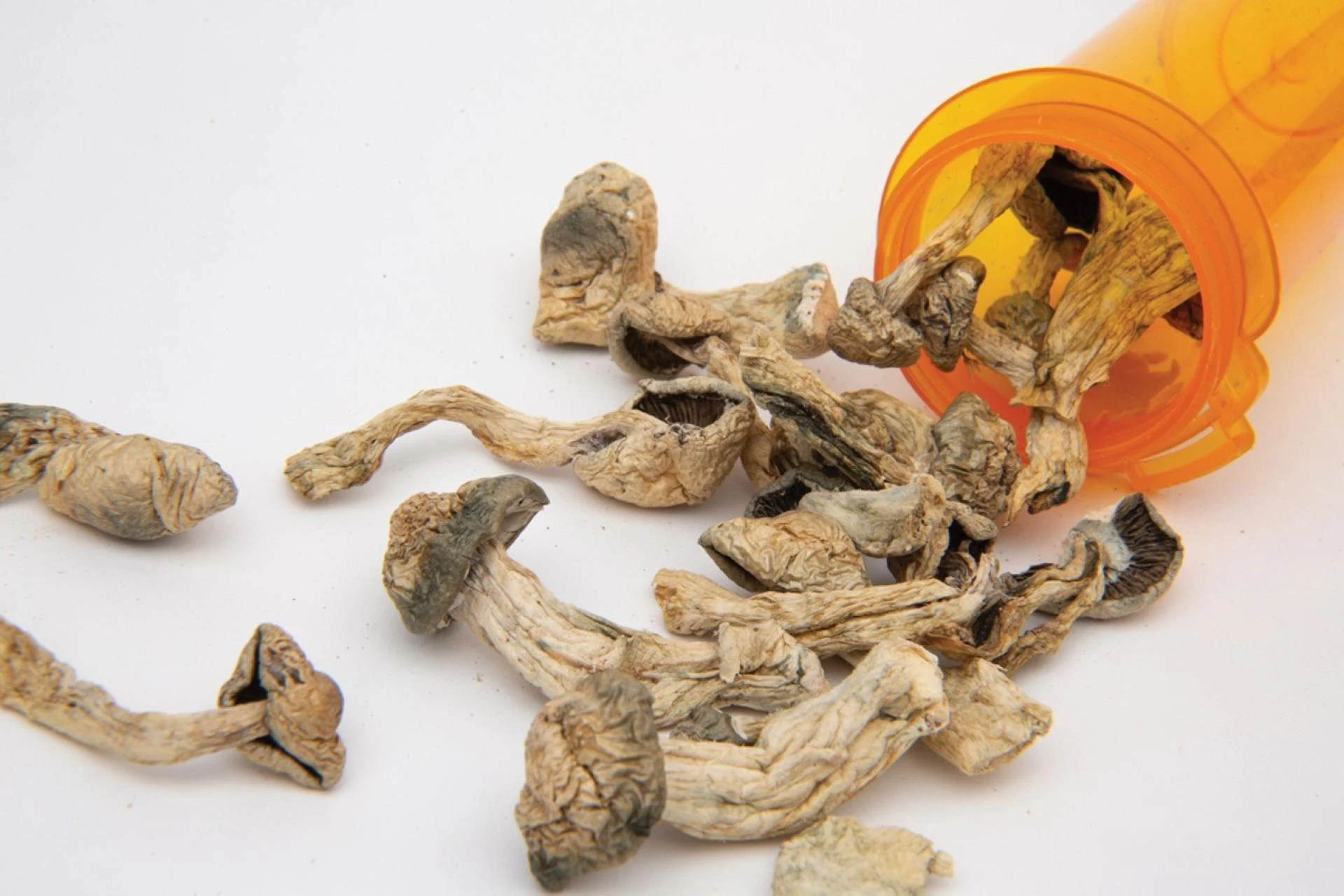 Unlocking Psychedelic Realms: Where to Buy Shrooms in Cambridge and Waterloo