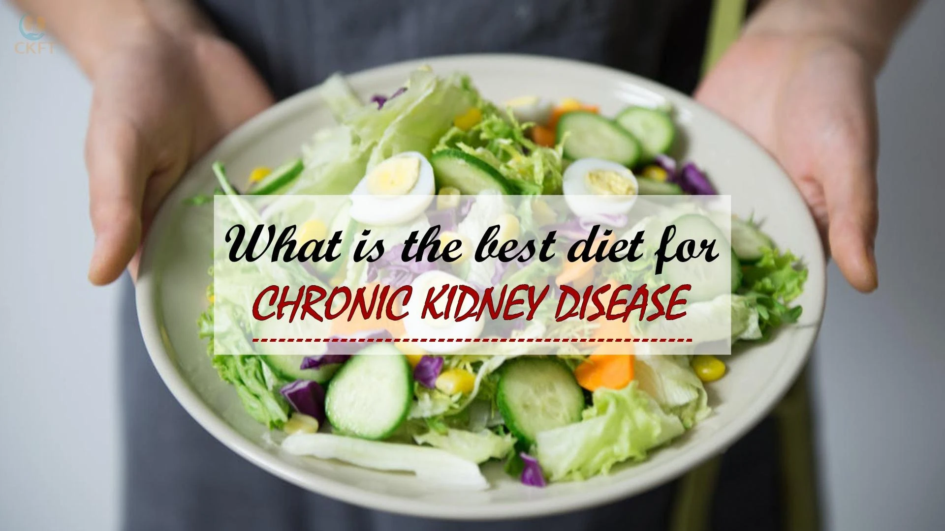 What is The Best Diet for Chronic Kidney Disease?