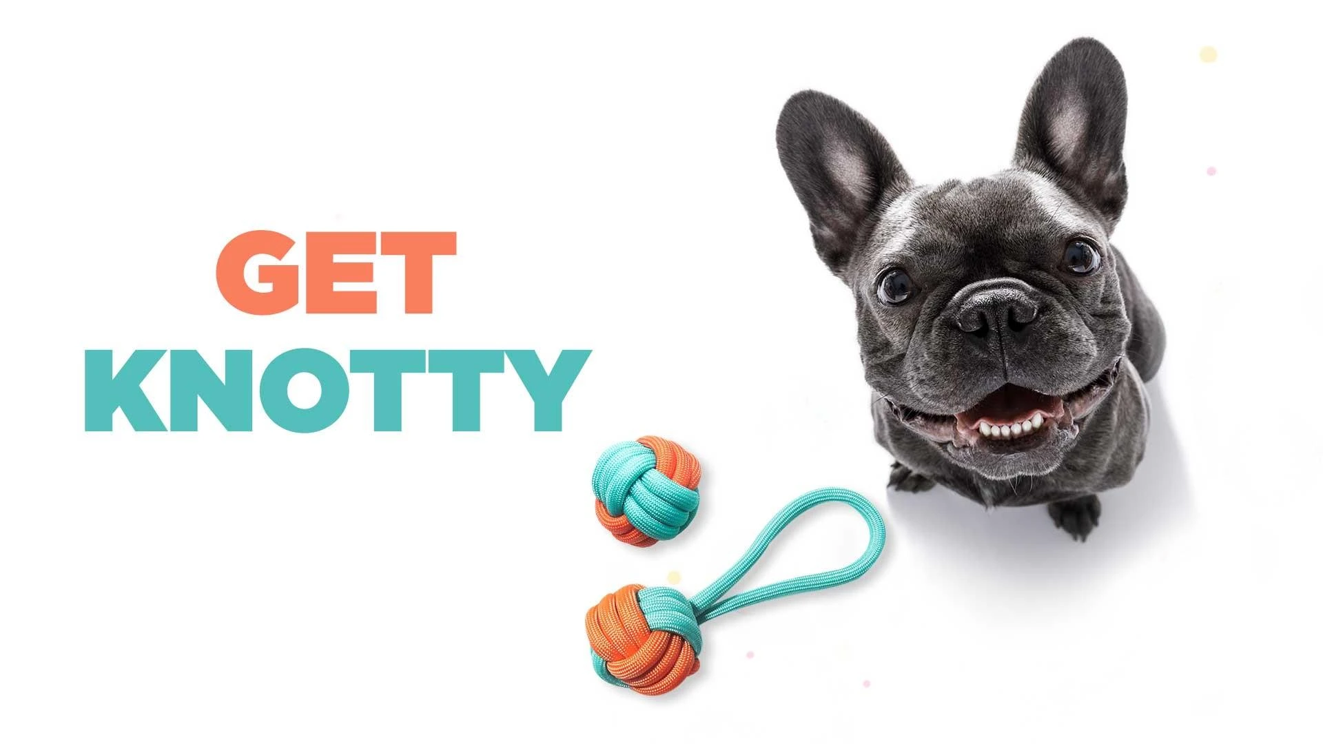 Pet Store Online: Know The Best Pet Store Online in India