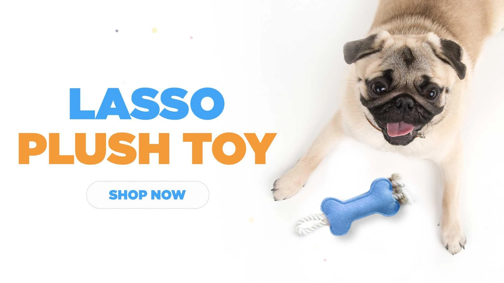 Pet Store Online: Best stores to buy pet accessories online in India
