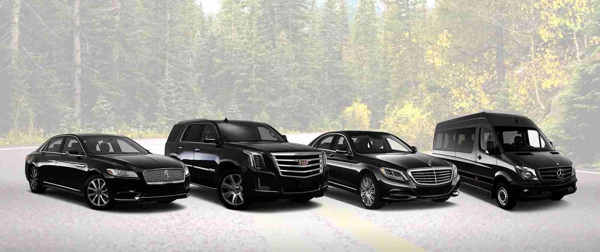 Book our Business Class Chauffer for a Cozy and Timely Ride in Qatar