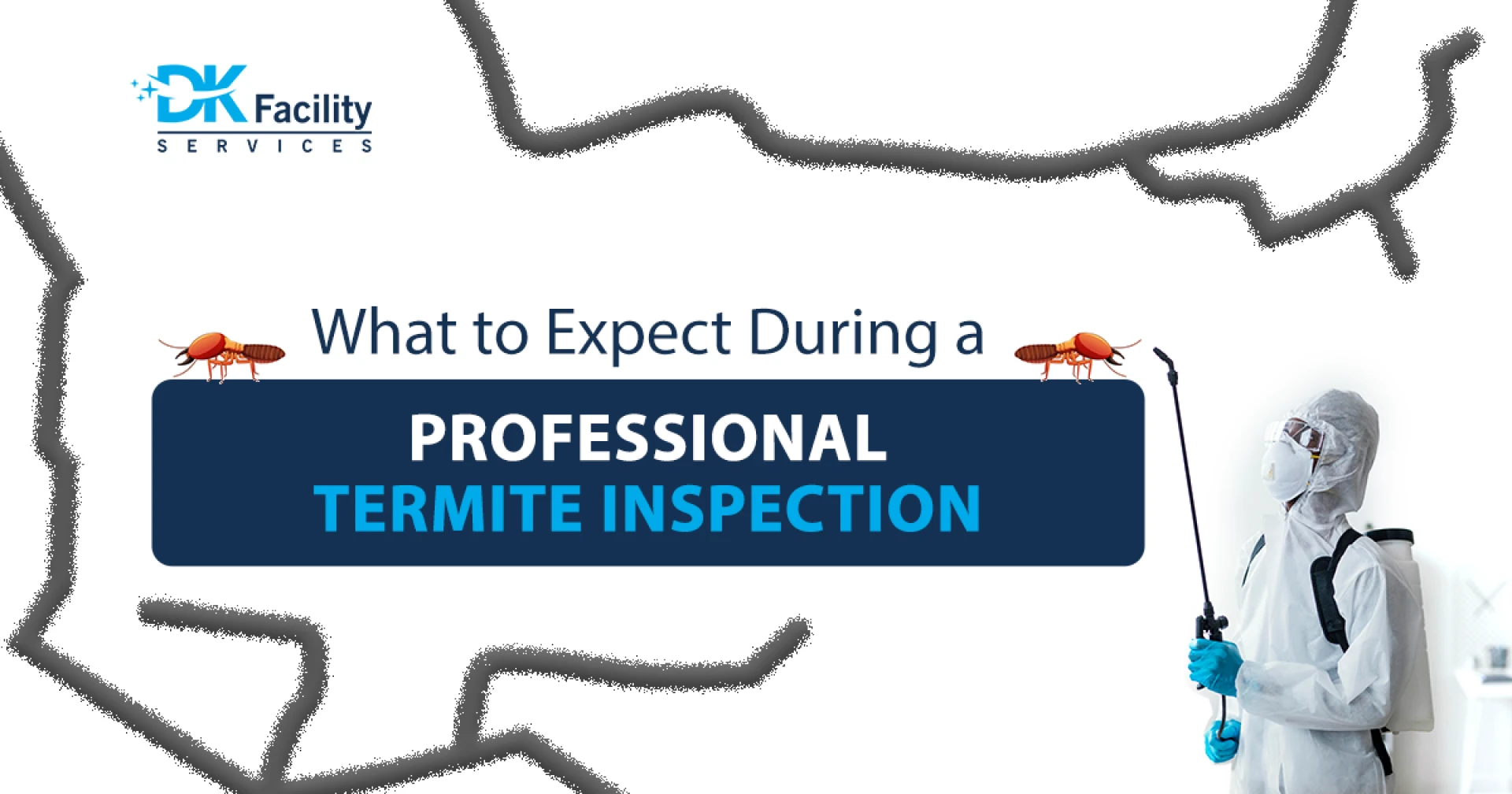 What to expect during a professional termite inspection
