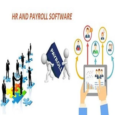 Is HR and Payroll Software Suitable Only for HR Professionals