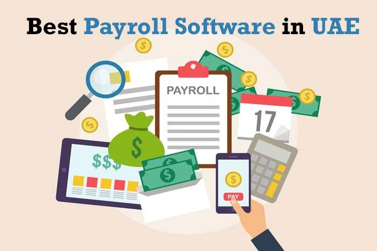 Resolve Five Main Payroll Problems With An Online Smart Payroll Software in Dubai