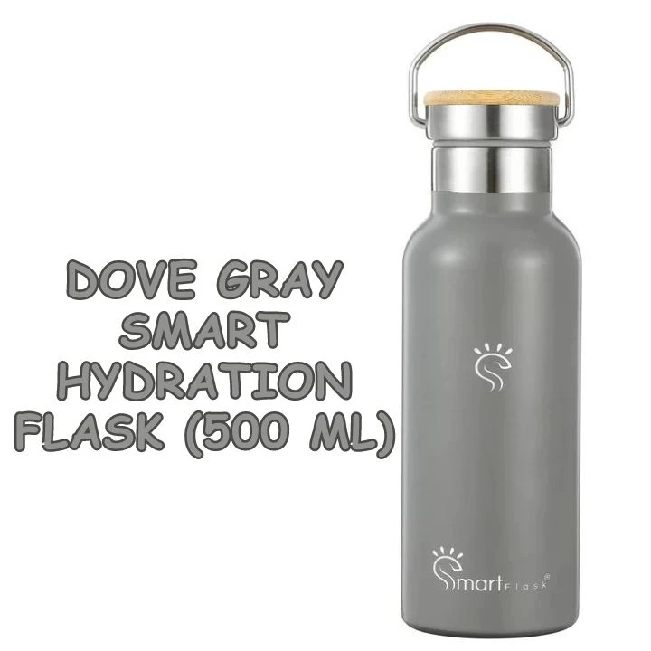 The Stylish Hydration Flask You Need: Dove Gray Smart Flask Review