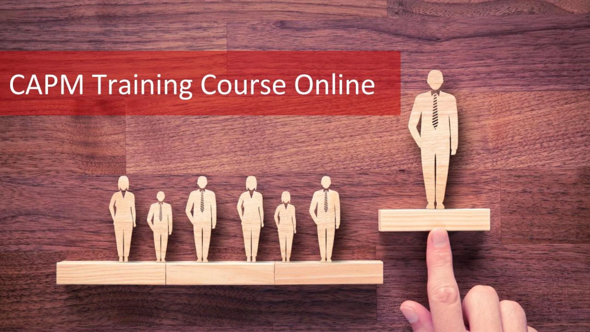 Services for CAPM Training Classes in the USA