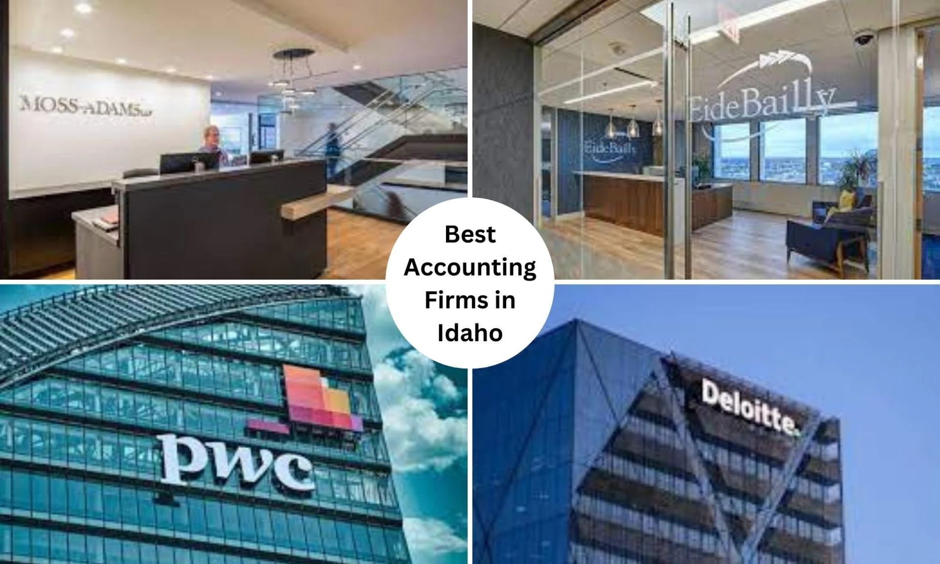 Accounting Firms In Idaho